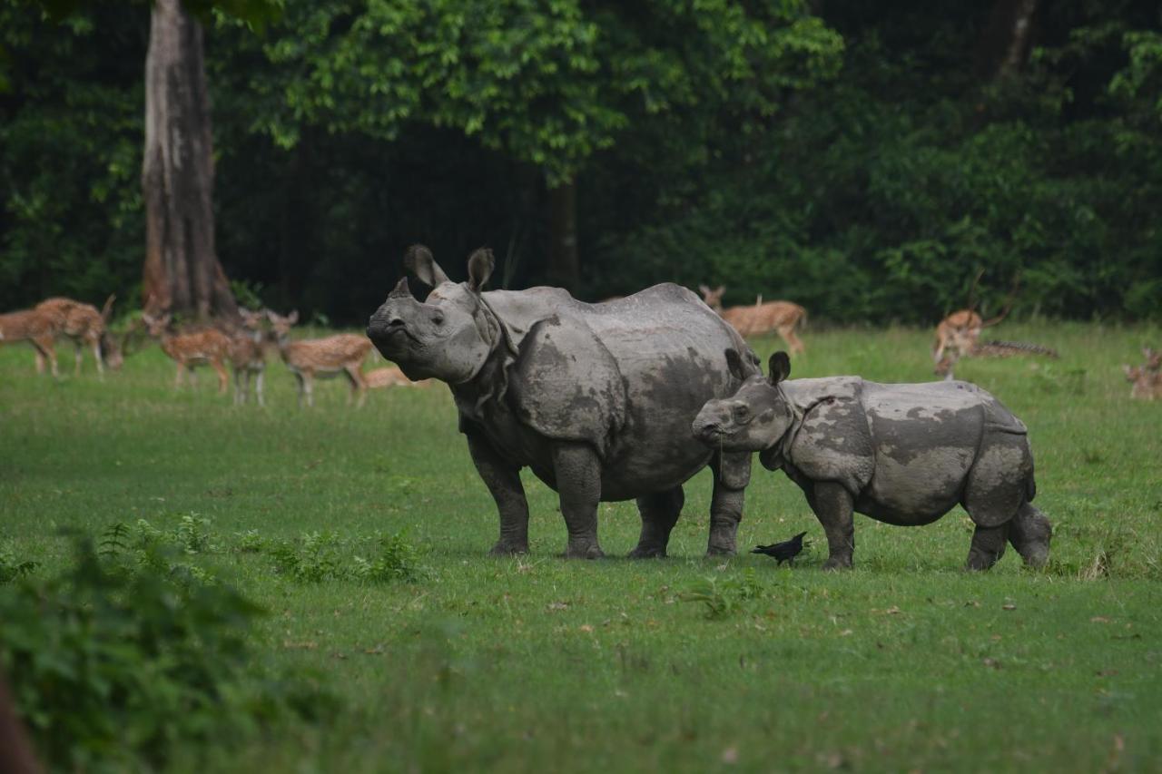 Eden Jungle Resort Sauraha Exterior photo