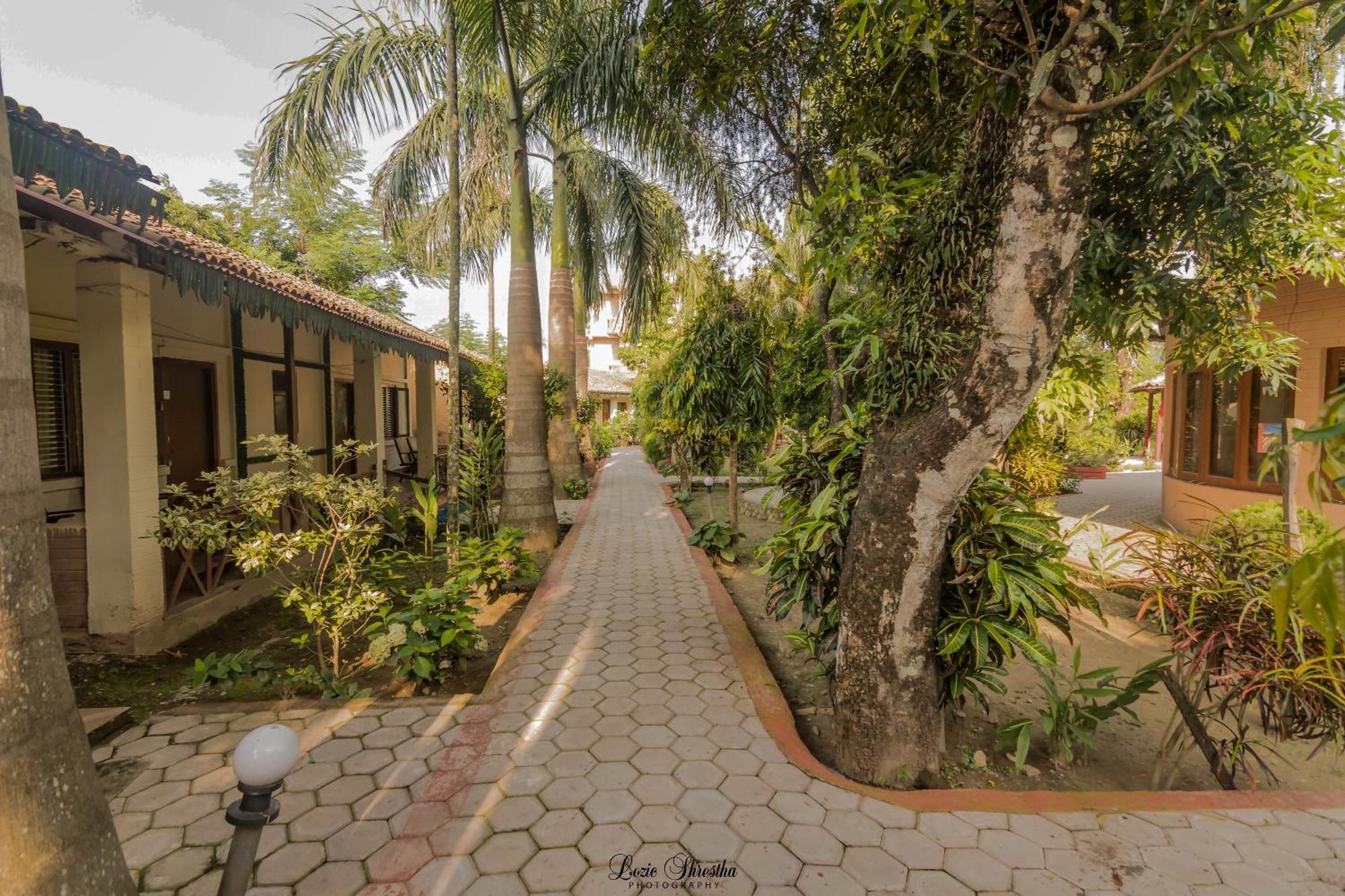Eden Jungle Resort Sauraha Exterior photo